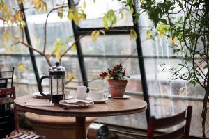 Ihr neuer Wintergarten, die große Fensterfront mit grünem Charme